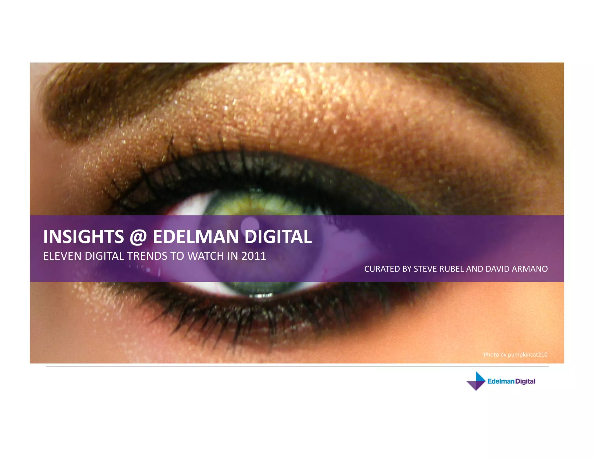 INSIGHTS @ EDELMAN DIGITAL 
ELEVEN DIGITAL TRENDS TO WATCH IN 2011  
                                           CURATED BY STEVE RUBEL AND DAVID ARMANO 




                                                                    Photo by pumpkincat210 
 