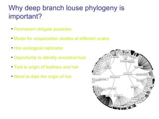 A timescale for the evolution of lice | PPT