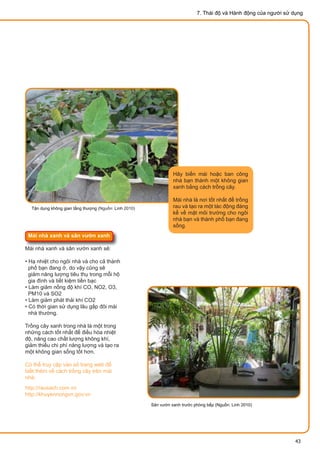 7. Thái độ và Hành động của người sử dụng
Mái nhà xanh và sân vườn xanh
Mái nhà xanh và sân vườn xanh sẽ:
• Hạ nhiệt cho n...