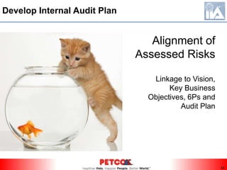 2.C Develop Internal Audit Plan