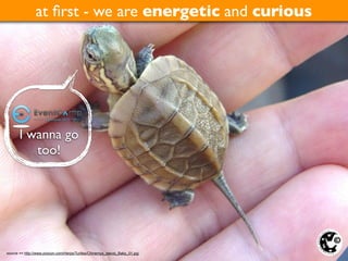 at ﬁrst - we are energetic and curious




       I wanna go
          too!




                                                                            ©2011
source == http://www.zoocon.com/Herps/Turtles/Chinemys_reevsi_Baby_01.jpg
 
