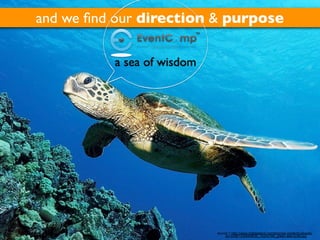 and we ﬁnd our direction & purpose

          a sea of wisdom




                                                              ©2011
                            source = http://www.mafiaisland.com/blog/wp-content/uploads/
                                 2010/08/1230099836_1024x768_green-sea-turtle.jpg
 