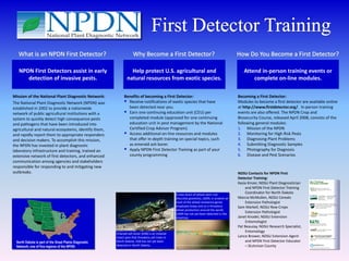NPDN First Detectors assist in early                                   Help protect U.S. agricultural and                                                                                                     Attend in-person training events or
      detection of invasive pests.                                      natural resources from exotic species.                                                                                                       complete on-line modules.

Mission of the National Plant Diagnostic Network:                   Benefits of becoming a First Detector:                                                                                                    Becoming a First Detector:
The National Plant Diagnostic Network (NPDN) was                     Receive notifications of exotic species that have                                                                                       Modules to become a first detector are available online
established in 2002 to provide a nationwide                           been detected near you.                                                                                                                 at http://www.firstdetector.org/. In-person training
network of public agricultural institutions with a                   Earn one continuing education unit (CEU) per                                                                                            events are also offered. The NPDN Crop and
system to quickly detect high consequence pests                       completed module (approved for one continuing                                                                                           Biosecurity Course, released April 2008, consists of the
and pathogens that have been introduced into                          education unit in pest management by the National                                                                                       following general modules:
agricultural and natural ecosystems, identify them,                   Certified Crop Advisor Program).                                                                                                        1. Mission of the NPDN
and rapidly report them to appropriate responders                    Access additional on-line resources and modules                                                                                         2. Monitoring for High Risk Pests
and decision makers. To accomplish this mission,                      that offer in-depth training on special topics, such                                                                                    3. Diagnosing Plant Problems
the NPDN has invested in plant diagnostic                             as emerald ash borer.                                                                                                                   4. Submitting Diagnostic Samples
laboratory infrastructure and training, trained an                   Apply NPDN First Detector Training as part of your                                                                                      5. Photography for Diagnosis
extensive network of first detectors, and enhanced                    county programming                                                                                                                      6. Disease and Pest Scenarios
communication among agencies and stakeholders
responsible for responding to and mitigating new
outbreaks.                                                                                                                                                                                                    NDSU Contacts for NPDN First
                                                                                                                                                                                                              Detector Training:
                                                                                                                                                                                                              Kasia Kinzer, NDSU Plant Diagnostician
                                                                                                                                                                                                                   and NPDN First Detector Training
                                                                                                                               A new strain of wheat stem rust
                                                                                                                                                                                                                   Coordinator for North Dakota
                                                                                                                               (Puccinia graminis), UG99, is virulent on                                      Marcia McMullen, NDSU Cereals
                                                                                                                               most of the wheat resistance genes                                                  Extension Pathologist
                                                                                                                               employed today and so it threatens                                             Sam Markell, NDSU Row Crops
                                                                                                                               wheat production around the world.
                                                                                                                               UG99 has not yet been detected in the
                                                                                                                                                                                                                   Extension Pathologist
                                                                                                                               Americas.                                                       )              Janet Knodel, NDSU Extension
                                                                                                                                                                                                                   Entomologist
                                                        Photo credit: David Cappaert, Michigan State University, Bugwood.org
                                                                                                                                                                                                              Pat Beauzay, NDSU Research Specialist,
                                                                                                                                                                                                                   Entomology
                                                         Emerald ash borer (EAB) is an invasive
                                                         insect pest that threatens ash trees in                                                                                                              Lance Brower, NDSU Extension Agent
  North Dakota is part of the Great Plains Diagnostic    North Dakota. EAB has not yet been                                                                                                                        and NPDN First Detector Educator
  Network, one of five regions of the NPDN.              detected in North Dakota.                                             Photo credit: Donald Groth, Louisiana State University AgCenter, Bugwood.org
                                                                                                                                                                                                                   – Stutsman County
 