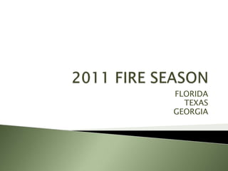 2011 FIRE SEASON FLORIDA TEXAS GEORGIA 