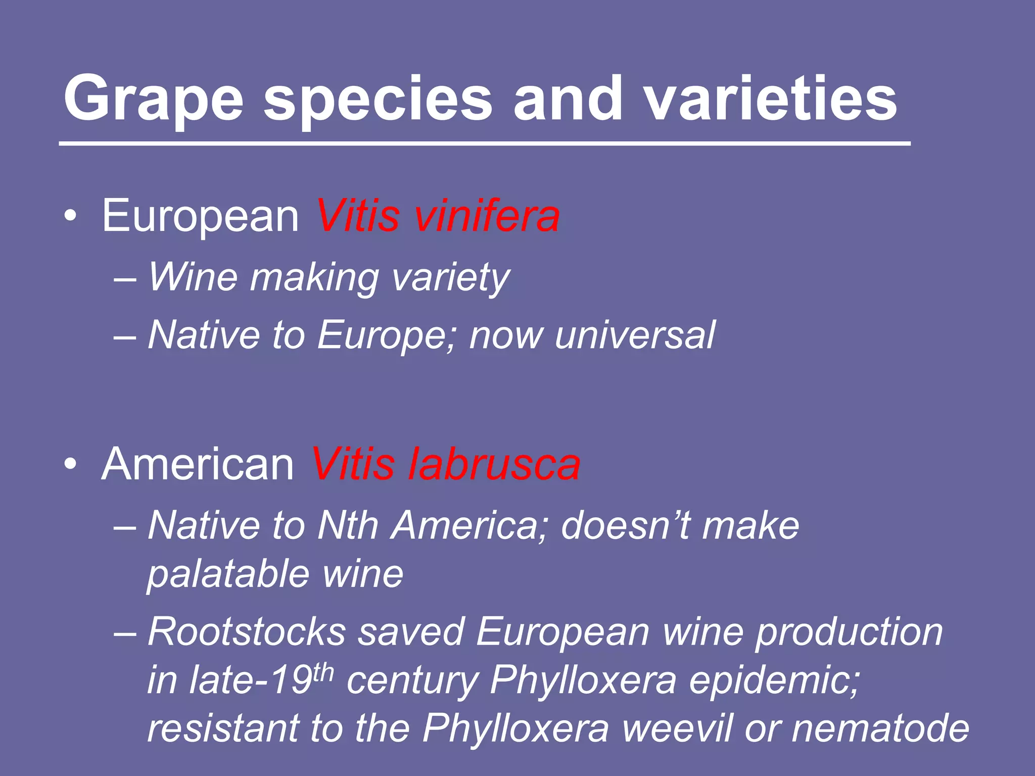 Grape species and varieties
• European Vitis vinifera
  – Wine making variety
  – Native to Europe; now universal


• American Vitis labrusca
  – Native to Nth America; doesn’t make
    palatable wine
  – Rootstocks saved European wine production
    in late-19th century Phylloxera epidemic;
    resistant to the Phylloxera weevil or nematode
 