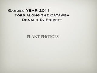 Garden YEAR 2011
  Tors along the Catawba
     Donald R. Privett


       PLANT PHOTOES
 