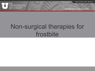 DEPARTMENT OF SURGERY




Non-surgical therapies for
        frostbite
 