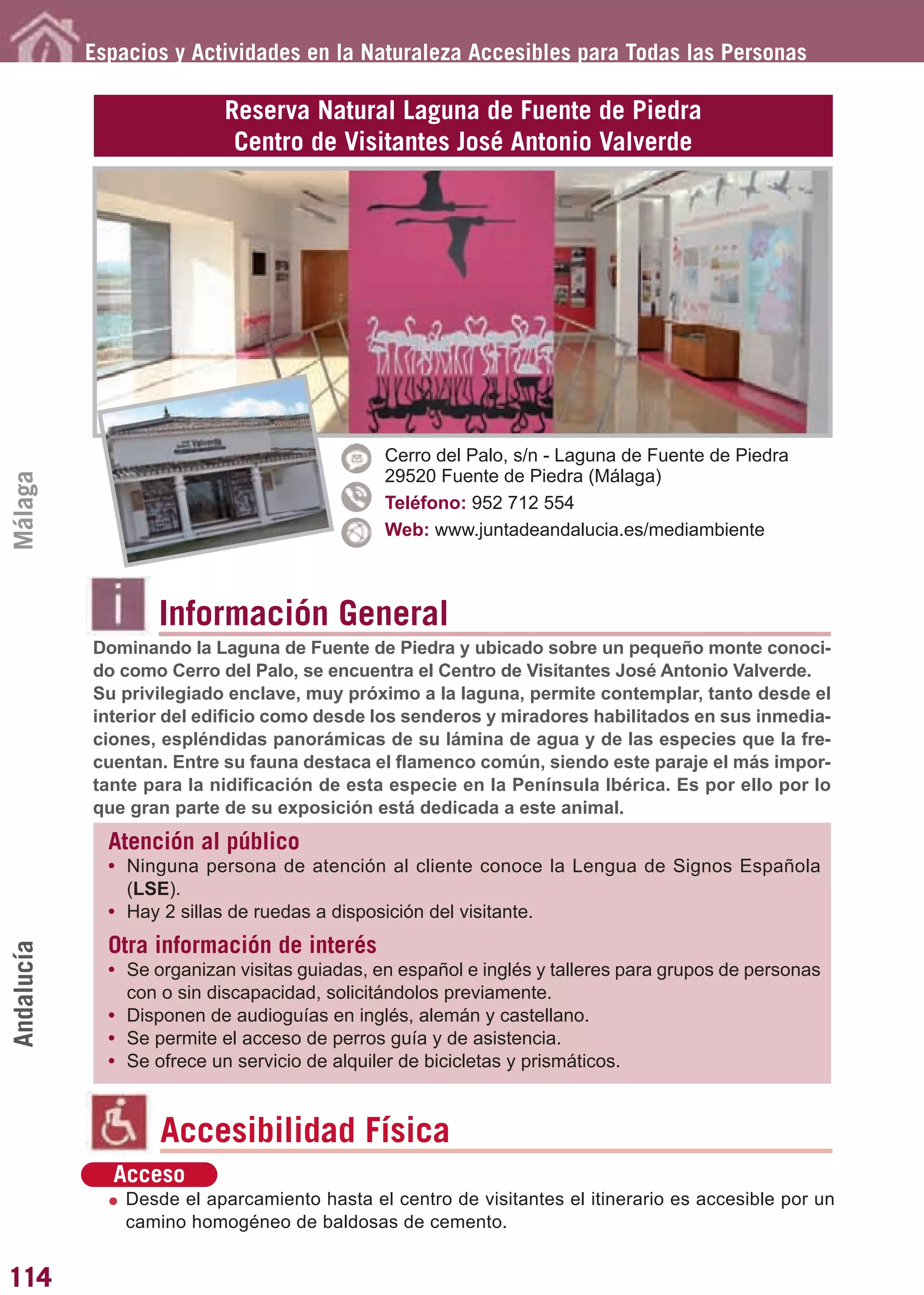 Guía_Completa       22/8/11     14:30   Página 114




            Espacios y Actividades en la Naturaleza Accesibles para Todas las Personas

                            Reserva Natural Laguna de Fuente de Piedra
                             Centro de Visitantes José Antonio Valverde




                                               Cerro del Palo, s/n - Laguna de Fuente de Piedra
                                               29520 Fuente de Piedra (Málaga)
Málaga




                                               Teléfono: 952 712 554
                                               Web: www.juntadeandalucia.es/mediambiente



                    Información General
            Dominando la Laguna de Fuente de Piedra y ubicado sobre un pequeño monte conoci-
            do como Cerro del Palo, se encuentra el Centro de Visitantes José Antonio Valverde.
            Su privilegiado enclave, muy próximo a la laguna, permite contemplar, tanto desde el
            interior del edificio como desde los senderos y miradores habilitados en sus inmedia-
            ciones, espléndidas panorámicas de su lámina de agua y de las especies que la fre-
            cuentan. Entre su fauna destaca el flamenco común, siendo este paraje el más impor-
            tante para la nidificación de esta especie en la Península Ibérica. Es por ello por lo
            que gran parte de su exposición está dedicada a este animal.
              Atención al público
              • Ninguna persona de atención al cliente conoce la Lengua de Signos Española
                (LSE).
              • Hay 2 sillas de ruedas a disposición del visitante.
              Otra información de interés
Andalucía




              • Se organizan visitas guiadas, en español e inglés y talleres para grupos de personas
                con o sin discapacidad, solicitándolos previamente.
              • Disponen de audioguías en inglés, alemán y castellano.
              • Se permite el acceso de perros guía y de asistencia.
              • Se ofrece un servicio de alquiler de bicicletas y prismáticos.



                    Accesibilidad Física
              Acceso
                Desde el aparcamiento hasta el centro de visitantes el itinerario es accesible por un
                camino homogéneo de baldosas de cemento.


114
 