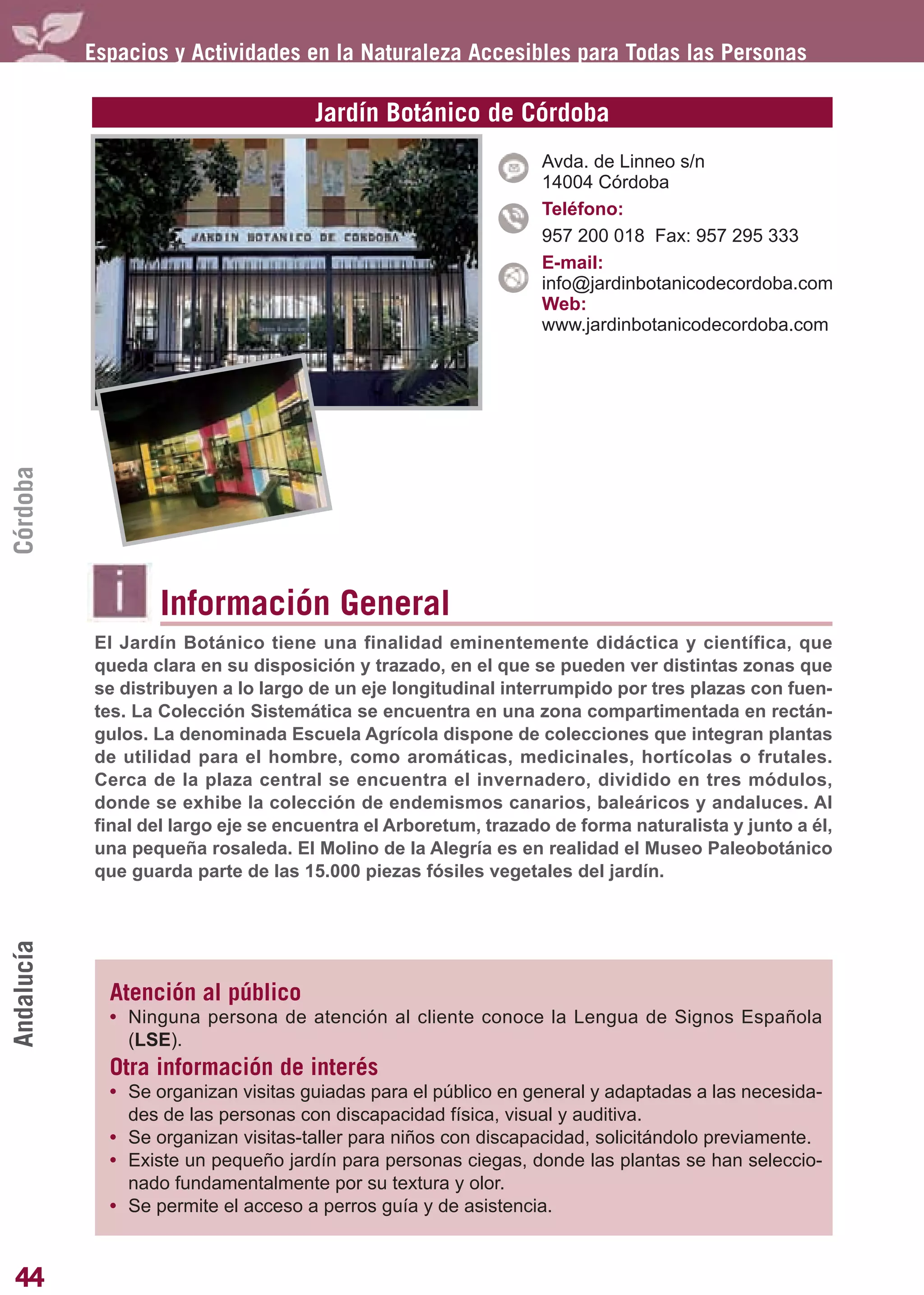 Guía_Completa       22/8/11    14:23    Página 44




            Espacios y Actividades en la Naturaleza Accesibles para Todas las Personas

                                       Jardín Botánico de Córdoba
                                                                 Avda. de Linneo s/n
                                                                 14004 Córdoba
                                                                 Teléfono:
                                                                 957 200 018 Fax: 957 295 333
                                                                 E-mail:
                                                                 info@jardinbotanicodecordoba.com
                                                                 Web:
                                                                 www.jardinbotanicodecordoba.com
Córdoba




                    Información General
            El Jardín Botánico tiene una finalidad eminentemente didáctica y científica, que
            queda clara en su disposición y trazado, en el que se pueden ver distintas zonas que
            se distribuyen a lo largo de un eje longitudinal interrumpido por tres plazas con fuen-
            tes. La Colección Sistemática se encuentra en una zona compartimentada en rectán-
            gulos. La denominada Escuela Agrícola dispone de colecciones que integran plantas
            de utilidad para el hombre, como aromáticas, medicinales, hortícolas o frutales.
            Cerca de la plaza central se encuentra el invernadero, dividido en tres módulos,
            donde se exhibe la colección de endemismos canarios, baleáricos y andaluces. Al
            final del largo eje se encuentra el Arboretum, trazado de forma naturalista y junto a él,
            una pequeña rosaleda. El Molino de la Alegría es en realidad el Museo Paleobotánico
            que guarda parte de las 15.000 piezas fósiles vegetales del jardín.
Andalucía




              Atención al público
              • Ninguna persona de atención al cliente conoce la Lengua de Signos Española
                (LSE).
              Otra información de interés
              • Se organizan visitas guiadas para el público en general y adaptadas a las necesida-
                des de las personas con discapacidad física, visual y auditiva.
              • Se organizan visitas-taller para niños con discapacidad, solicitándolo previamente.
              • Existe un pequeño jardín para personas ciegas, donde las plantas se han seleccio-
                nado fundamentalmente por su textura y olor.
              • Se permite el acceso a perros guía y de asistencia.


44
 