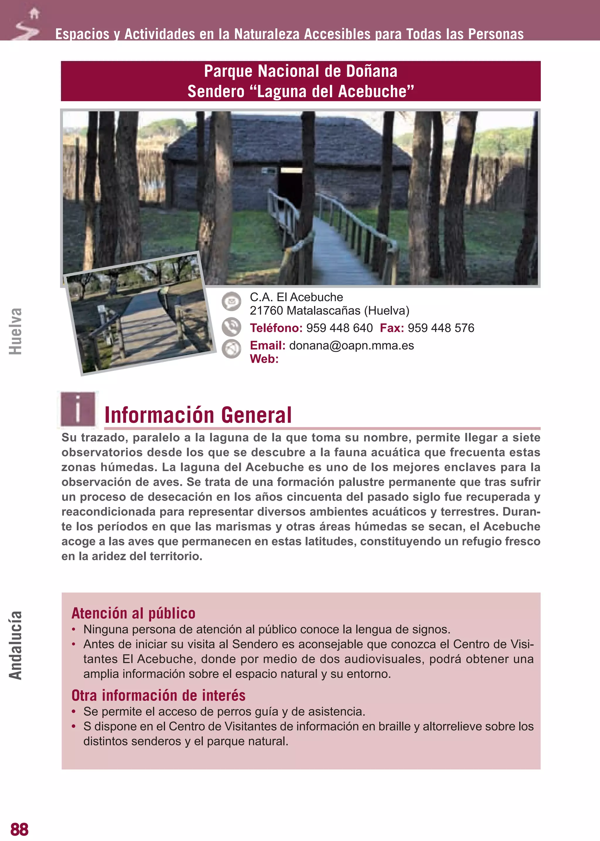 Guía_Completa       22/8/11     14:25    Página 88




            Espacios y Actividades en la Naturaleza Accesibles para Todas las Personas

                                      Parque Nacional de Doñana
                                    Sendero “Laguna del Acebuche”




                                                C.A. El Acebuche
                                                21760 Matalascañas (Huelva)
Huelva




                                                Teléfono: 959 448 640 Fax: 959 448 576
                                                Email: donana@oapn.mma.es
                                                Web:



                    Información General
            Su trazado, paralelo a la laguna de la que toma su nombre, permite llegar a siete
            observatorios desde los que se descubre a la fauna acuática que frecuenta estas
            zonas húmedas. La laguna del Acebuche es uno de los mejores enclaves para la
            observación de aves. Se trata de una formación palustre permanente que tras sufrir
            un proceso de desecación en los años cincuenta del pasado siglo fue recuperada y
            reacondicionada para representar diversos ambientes acuáticos y terrestres. Duran-
            te los períodos en que las marismas y otras áreas húmedas se secan, el Acebuche
            acoge a las aves que permanecen en estas latitudes, constituyendo un refugio fresco
            en la aridez del territorio.



              Atención al público
Andalucía




              • Ninguna persona de atención al público conoce la lengua de signos.
              • Antes de iniciar su visita al Sendero es aconsejable que conozca el Centro de Visi-
                tantes El Acebuche, donde por medio de dos audiovisuales, podrá obtener una
                amplia información sobre el espacio natural y su entorno.
              Otra información de interés
              • Se permite el acceso de perros guía y de asistencia.
              • S dispone en el Centro de Visitantes de información en braille y altorrelieve sobre los
                distintos senderos y el parque natural.




88
 