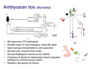 Bascal Clade A hitchhikers guide to the Galápagos: Co-phylogeography of Galápagos ...