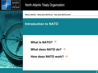 What is NATO? What does NATO do? How does NATO work? 