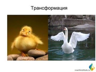 Трансформация

 