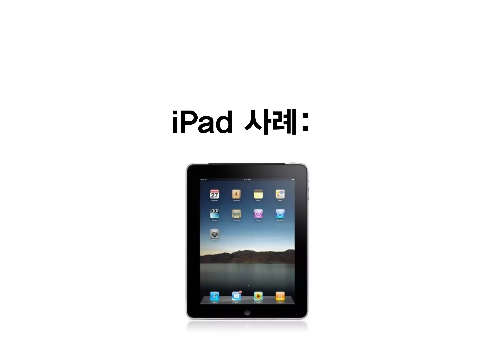 iPad 사례:
 