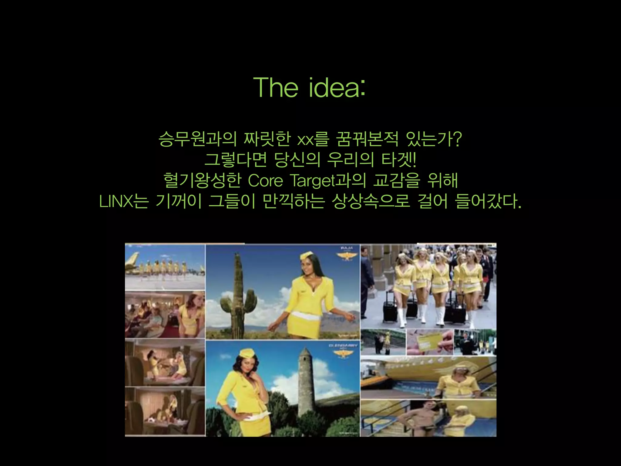 The idea:
      승무원과의 짜릿한 xx를 꿈꿔본적 있는가?
          그렇다면 당신의 우리의 타겟!
       혈기왕성한 Core Target과의 교감을 위해
LINX는 기꺼이 그들이 만끽하는 상상속으로 걸어 들어갔다.
 