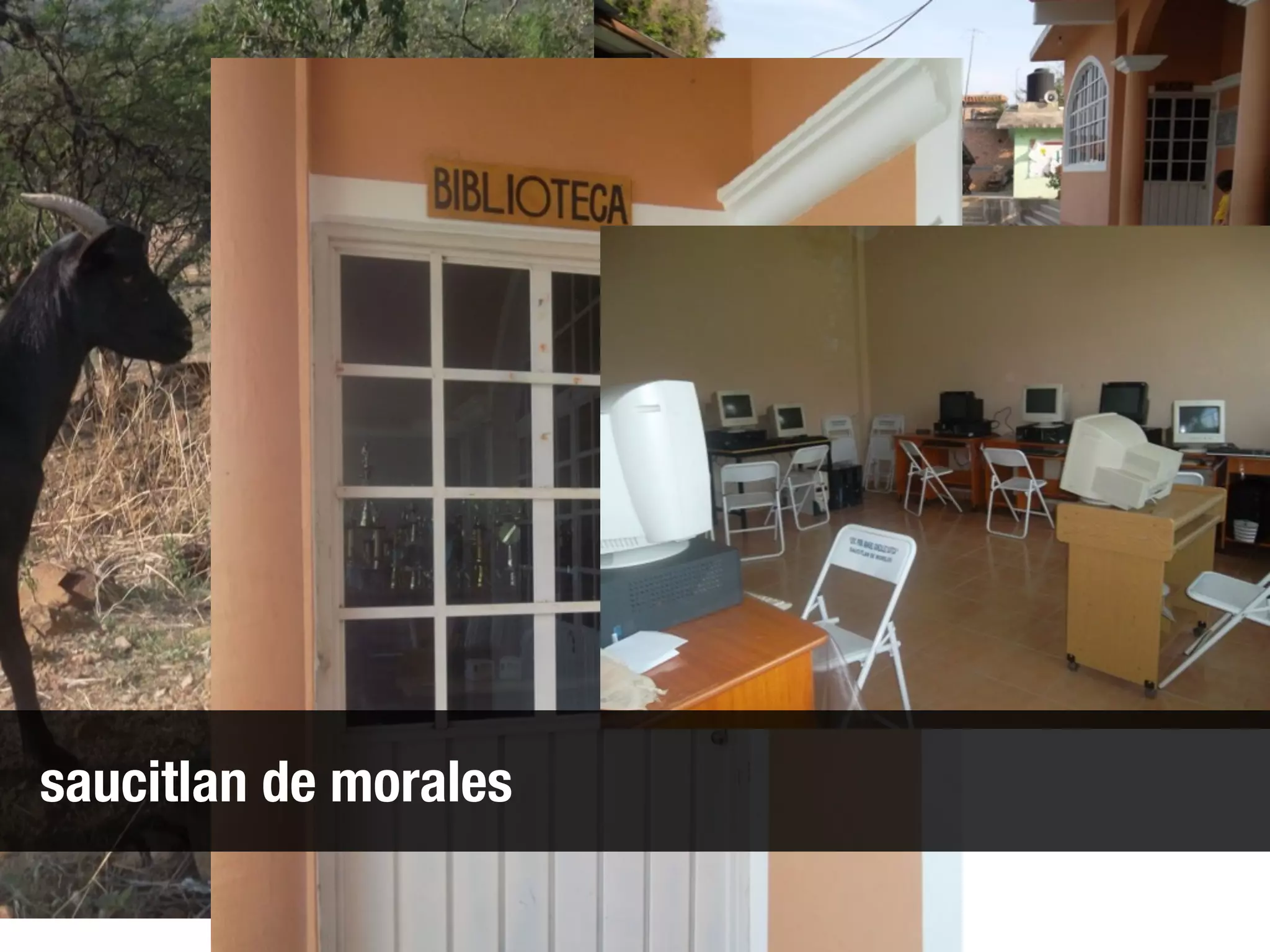 saucitlan de morales
 