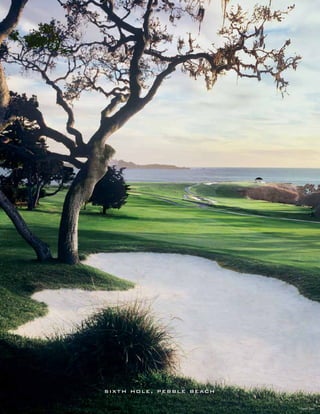 s i xt h h o l e , p e b b l e b e ac h

                                          ©Joann Dost
 