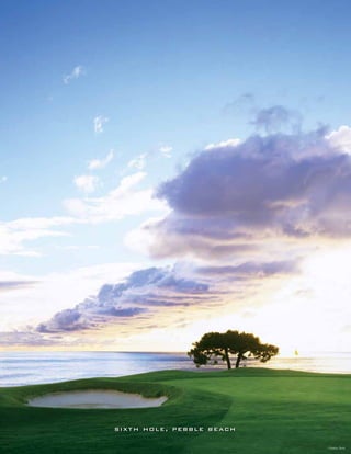 s i xt h h o l e , p e b b l e b e ac h

                                          ©Joann Dost
 