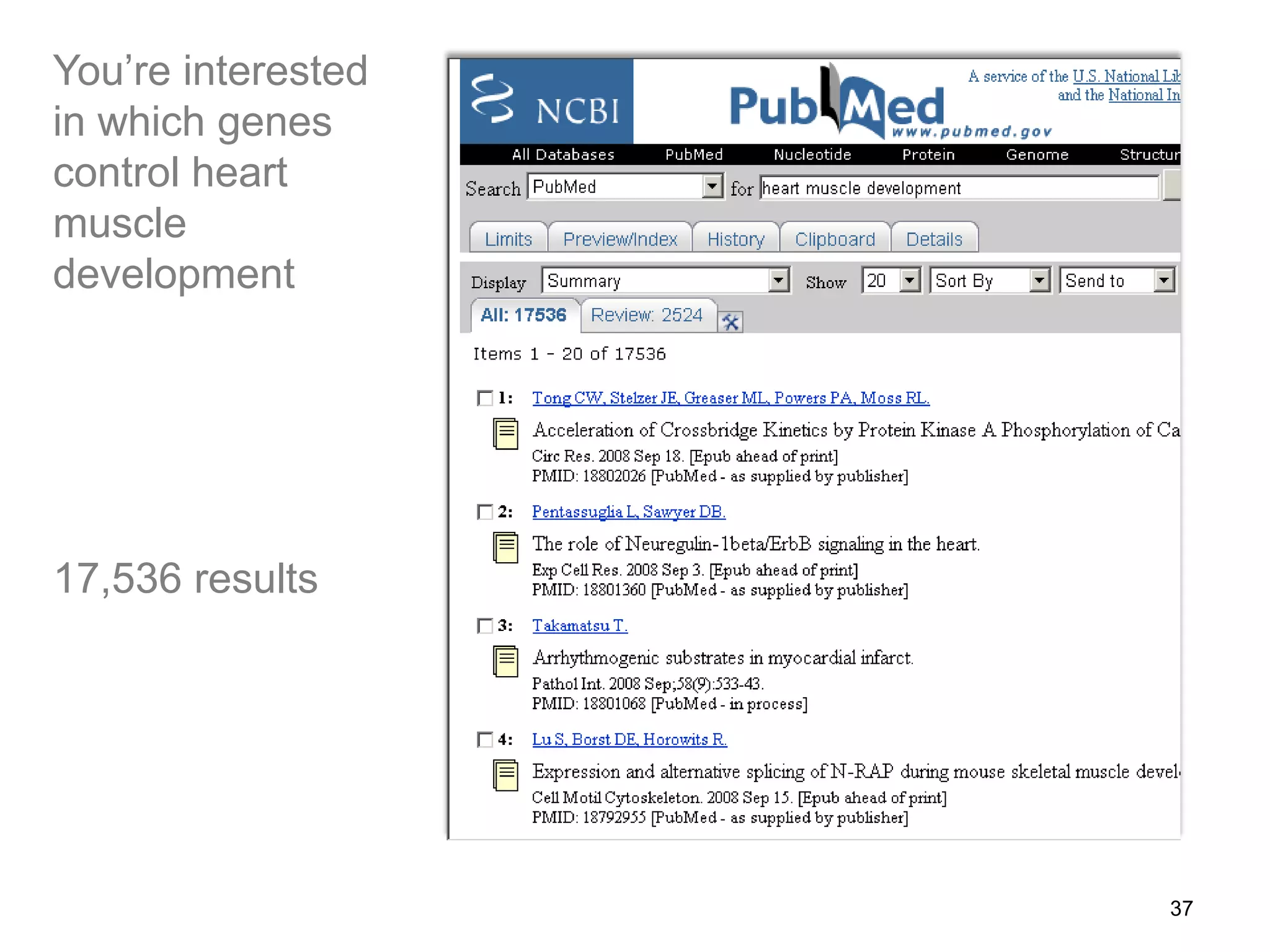 You’re interested
in which genes
control heart
muscle
development
17,536 results
37
 