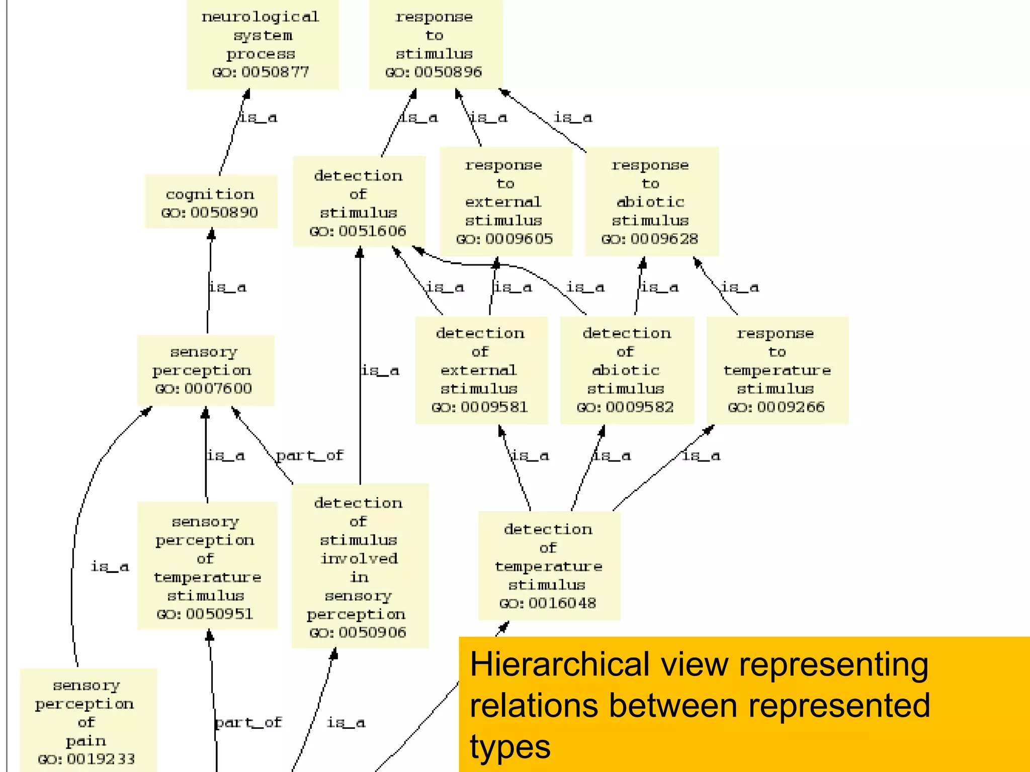 49
Hierarchical view representing
relations between represented
types
 