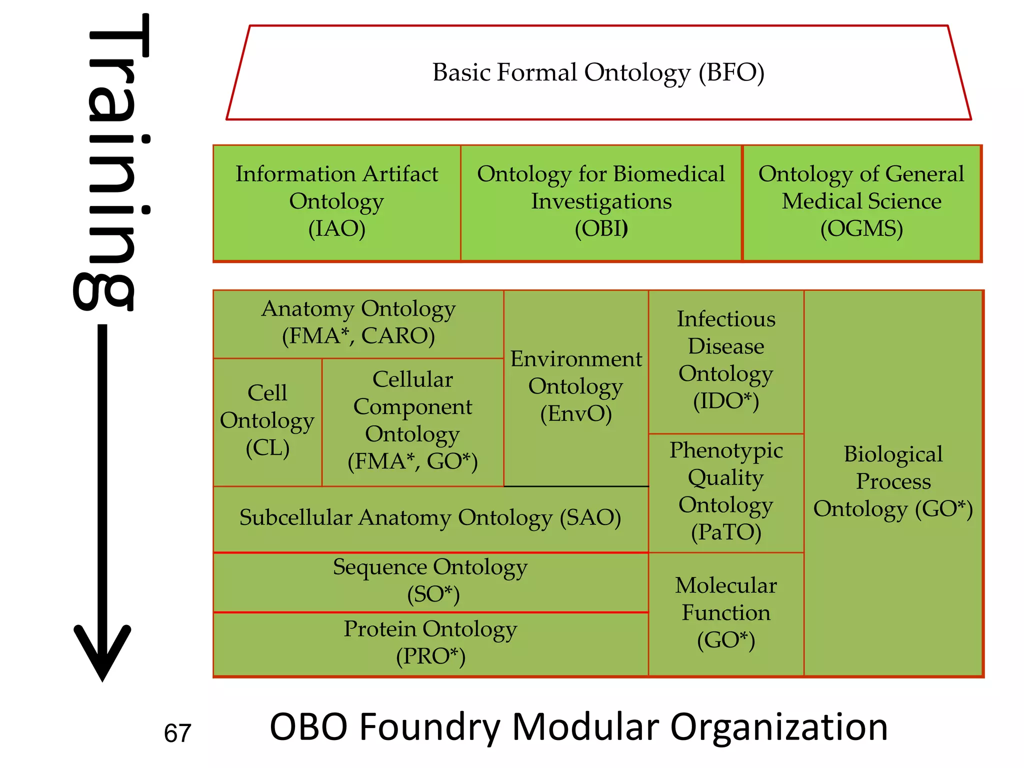 Anatomy Ontology
(FMA*, CARO)
Environment
Ontology
(EnvO)
Infectious
Disease
Ontology
(IDO*)
Biological
Process
Ontology (GO*)
Cell
Ontology
(CL)
Cellular
Component
Ontology
(FMA*, GO*) Phenotypic
Quality
Ontology
(PaTO)
Subcellular Anatomy Ontology (SAO)
Sequence Ontology
(SO*) Molecular
Function
(GO*)Protein Ontology
(PRO*)
OBO Foundry Modular Organization
Training
Information Artifact
Ontology
(IAO)
Ontology for Biomedical
Investigations
(OBI)
Ontology of General
Medical Science
(OGMS)
Basic Formal Ontology (BFO)
67
 