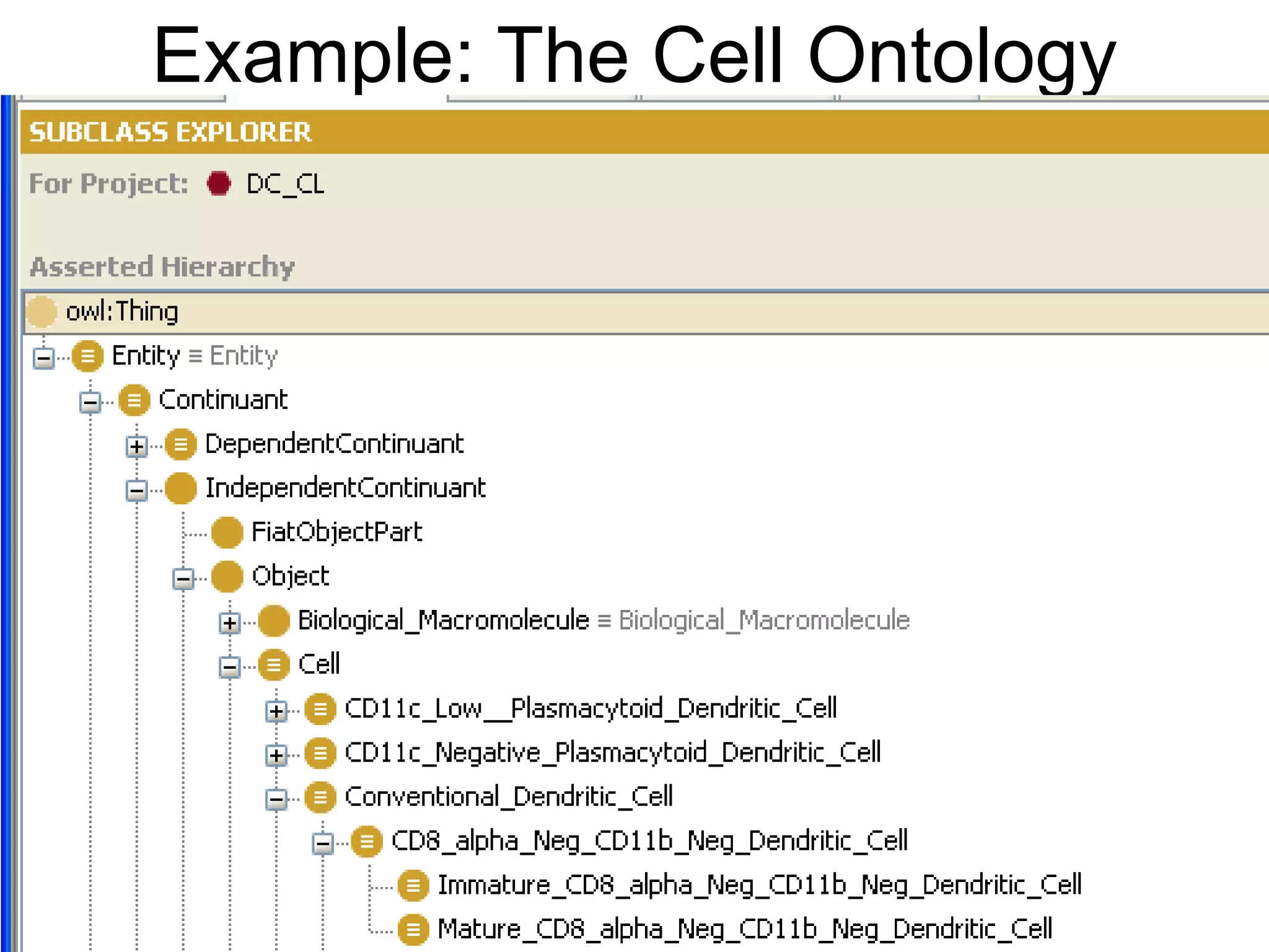 Example: The Cell Ontology
 