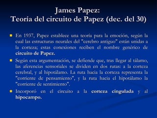 James Papez:  Teoría del circuito de Papez (dec. del 30) En 1937, Papez establece una teoría para la emoción, según la cual las estructuras neurales del "cerebro antiguo" están unidas a la corteza; estas conexiones reciben el nombre genérico de  circuito de Papez. Según esta argumentación, se defiende que, tras llegar al tálamo, las aferencias sensoriales se dividen en dos rutas: a la corteza cerebral, y al hipotálamo. La ruta hacia la corteza representa la "corriente de pensamiento", y la ruta hacia el hipotálamo la "corriente de sentimiento". Incorporó en el circuito a la  corteza cingulada  y al  hipocampo. 