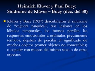Heinrich Kl ü ver y Paul Bucy:  Síndrome de Kl ü ver – Bucy (dec. del 30) Klüver y Bucy (1937) descubrieron el síndrome de “ceguera psíquica”, tras lesiones en los lóbulos temporales, los monos perdían las respuestas emocionales a estímulos previamente temidos, dejaban de percibir el significado de muchos objetos (comer objetos no comestibles) o copular con monos del mismo sexo o de otras especies. 