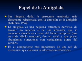 Papel de la Amígdala Sin ninguna duda, la estructura anatómica más claramente relacionada con la emoción es la amígdala (LeDoux, 1992).  La amígdala es una pequeña estructura nerviosa, de tamaño no superior al de una almendra, que se encuentra situada en el seno del lóbulo temporal (una en cada lóbulo temporal, dos en total) y que posee abundantes conexiones con variadísimas zonas del cerebro.  Es el componente más importante de una red de estructuras que elaboran la información emocional.  