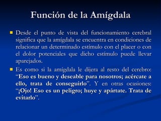 Función de la Amígdala Desde el punto de vista del funcionamiento cerebral significa que la amígdala se encuentra en condiciones de relacionar un determinado estímulo con el placer o con el dolor potenciales que dicho estímulo puede llevar aparejados.  Es como si la amígdala le dijera al resto del cerebro: “ Eso es bueno y deseable para nosotros; acércate a ello, trata de conseguirlo ”. Y en otras ocasiones: “ ¡Ojo! Eso es un peligro; huye y apártate. Trata de evitarlo ”. 