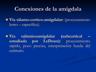 Conexiones de la amígdala Vía tálamo-cortico-amigdalar:  (procesamiento lento – específica). Vía talámicoamigdalar (subcortical – estudiada por LeDoux):  procesamiento rápido, poco precisa, interpretación burda del estímulo. 
