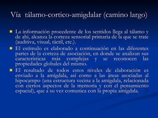 Vía  tálamo-cortico-amigdalar (camino largo) La información procedente de los sentidos llega al tálamo y de ahí, alcanza la corteza sensorial primaria de la que se trate (auditiva, visual, táctil, etc.).  El estímulo es elaborado a continuación en las diferentes partes de la corteza de asociación, en donde se analizan sus características más complejas y se reconocen las propiedades globales del mismo.  El resultado de todos estos niveles de elaboración es enviado a la amígdala, así como a las áreas asociadas al hipocampo (una estructura vecina a la amígdala, relacionada con ciertos aspectos de la memoria y con el pensamiento espacial), que a su vez comunica con la propia amígdala. 