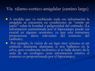 Vía  tálamo-cortico-amigdalar (camino largo) A medida que va recibiendo toda esa información la amígdala se encuentra en condiciones de “emitir un juicio” sobre la bondad o peligrosidad del estímulo. (La información suministrada por el hipocampo puede ser crucial en algunas ocasiones, ya que esta estructura proporciona datos relevantes del contexto del estímulo). Por ejemplo, la visión de un tigre muy cercano es un estímulo altamente alarmante si nos hallamos en la selva, pero totalmente inofensivo si se halla dentro de la jaula de un zoológico (esta información relativa al contexto es proporcionada por el hipocampo). 