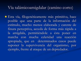Vía talámicoamigdalar (camino corto) Esta vía, filogenéticamente más primitiva, hace posible que una parte de la información del estímulo, mucho menos elaborada y carente de finura perceptiva, acceda de forma más rápida a la amígdala, permitiéndole a ésta poner en marcha con mucha celeridad una reacción apropiada, que en  determinados casos puede suponer la supervivencia del organismo, por ejemplo, frente al ataque de un depredador. 