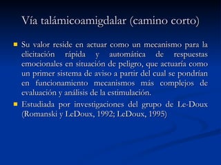 Vía talámicoamigdalar (camino corto) Su valor reside en actuar como un mecanismo para la elicitación rápida y automática de respuestas emocionales en situación de peligro, que actuaría como un primer sistema de aviso a partir del cual se pondrían en funcionamiento mecanismos más complejos de evaluación y análisis de la estimulación.  Estudiada por investigaciones del grupo de Le-Doux (Romanski y LeDoux, 1992; LeDoux, 1995) 