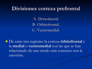 Divisiones corteza prefrontal A- Dorsolateral. B- Orbitofrontal. C- Ventromedial. De estas tres regiones la corteza  órbitofrontal  y la  medial  o  ventromedial  son las que se han relacionado de uno modo más concreto con la emoción. 