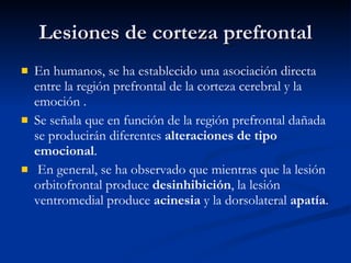 Lesiones de corteza prefrontal En humanos, se ha establecido una asociación directa entre la región prefrontal de la corteza cerebral y la emoción . Se señala que en función de la región prefrontal dañada se producirán diferentes  alteraciones de tipo emocional . En general, se ha observado que mientras que la lesión orbitofrontal produce  desinhibición , la lesión ventromedial produce  acinesia  y la dorsolateral  apatía . 