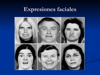 Expresiones faciales 