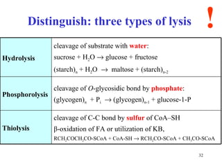 Distinguish: three types of lysis  ! cleavage of C-C bond by  sulfur  of CoA–SH β -oxidation of FA or utilization of KB, RCH 2 COCH 2 CO-SCoA + CoA-SH    RCH 2 CO-SCoA + CH 3 CO-SCoA Thiolysis cleavage of  O -glycosidic bond by  phosphate : (glycogen) n   + P i     (glycogen) n-1  + glucose-1-P Phosphorolysis cleavage of substrate with  water : sucrose + H 2 O    glucose + fructose (starch) n  + H 2 O     maltose + (starch) n-2 Hydrolysis 