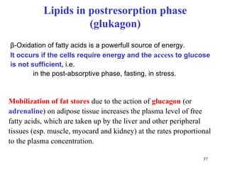 β-Oxidation of fatty acids is a powerfull source of energy. It occurs if the cells require energy and the  access  to glucose is not sufficient,  i.e. in the post-absorptive phase, fasting, in stress. Mobilization of fat stores   due to the action of   glucagon  (or  adrenaline ) on adipose tissue increases the plasma level of free fatty acids, which are taken up by the liver and other peripheral tissues (esp. muscle, myocard and kidney) at the rates proportional to the plasma concentration.  Lipids in postresorption phase (glukagon) 