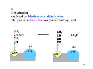 ACP S Cys SH CH 3 CH–OH CH 2 CO ACP S Cys SH CH 3 CH CH CO + H 2 O 5 Dehydration catalysed by  3-hydroxyacyl dehydratase . The product is  trans– 2 –enoyl   (named crotonyl) unit. 