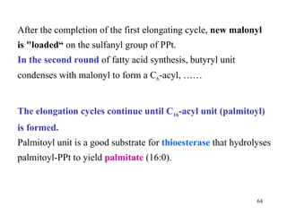 After the completion of the first elongating cycle,  new malonyl is  " loaded“  on the sulfanyl group of PPt. In the second round  of fatty acid synthesis, butyryl unit condenses with malonyl to form a C 6 -acyl, …… The elongation cycles continue until C 16 -acyl unit (palmitoyl) is formed. Palmitoyl unit is a good substrate for  thioesterase   that hydrolyses palmitoyl-PPt to yield  palmitate  (16:0). 