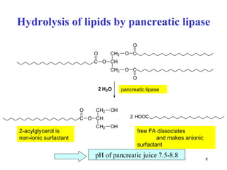 H ydrol ysis of lipids by pancreatic lipase pan creatic  lipas e 2-acylglycerol  is  n on-ionic surfactant free FA dissociates   a nd makes  anion ic surfactant pH  of  pan creatic juice  7 . 5-8 . 8 