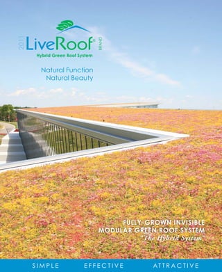 2011




                                  BRAND
       Hybrid Green Roof System


         Natural Function
          Natural Beauty




                                       FULLY-GROWN INVISIBLE
                                  MODULAR GREEN ROOF SYSTEM
                                           “The Hybrid System”



       SIMPLE              EFFECTIVE           AT T R A C T I V E
 