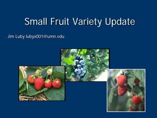 Small Fruit Variety Update
Jim Luby lubyx001@umn.edu
 