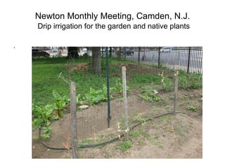 Newton Monthly Meeting, Camden, N.J.   Drip irrigation for the garden and native plants . 