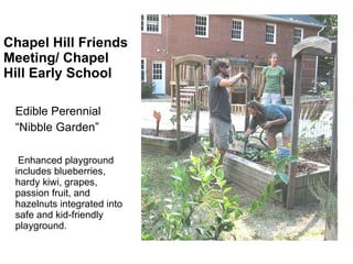 Chapel Hill Friends Meeting/ Chapel Hill Early School Edible Perennial “ Nibble Garden” Enhanced playground includes blueberries, hardy kiwi, grapes, passion fruit, and hazelnuts integrated into safe and kid-friendly playground. 