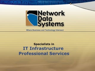 Specialists in IT Infrastructure  Professional Services Where Business and Technology Intersect 