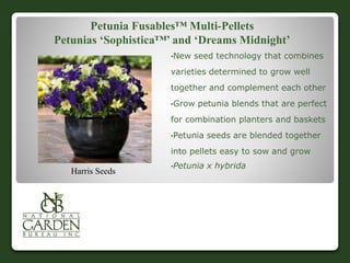 Petunia Fusables™ Multi-Pellets
Petunias ‘Sophistica™’ and ‘Dreams Midnight’
•New seed technology that combines
varieties determined to grow well
together and complement each other
•Grow petunia blends that are perfect
for combination planters and baskets
•Petunia seeds are blended together
into pellets easy to sow and grow
•Petunia x hybrida
Harris Seeds
 