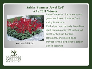 Salvia ‘Summer Jewel Red’
AAS 2011 Winner
•Rated “superior” for its early and
generous flower blossoms from
spring to autumn.
•Each dwarf and densely branching
plant remains a tidy 20 inches tall
•Ideal for full sun borders,
containers, and mixed beds
•Perfect for the bird lover’s garden
•Salvia coccinea
American Takii, Inc.
 